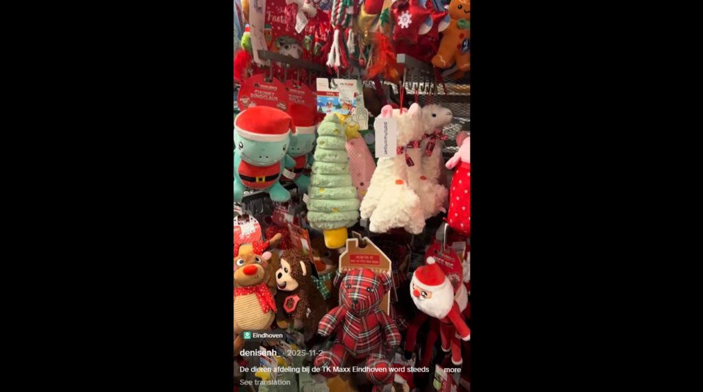 Tk Maxx Eindhoven Tiktok